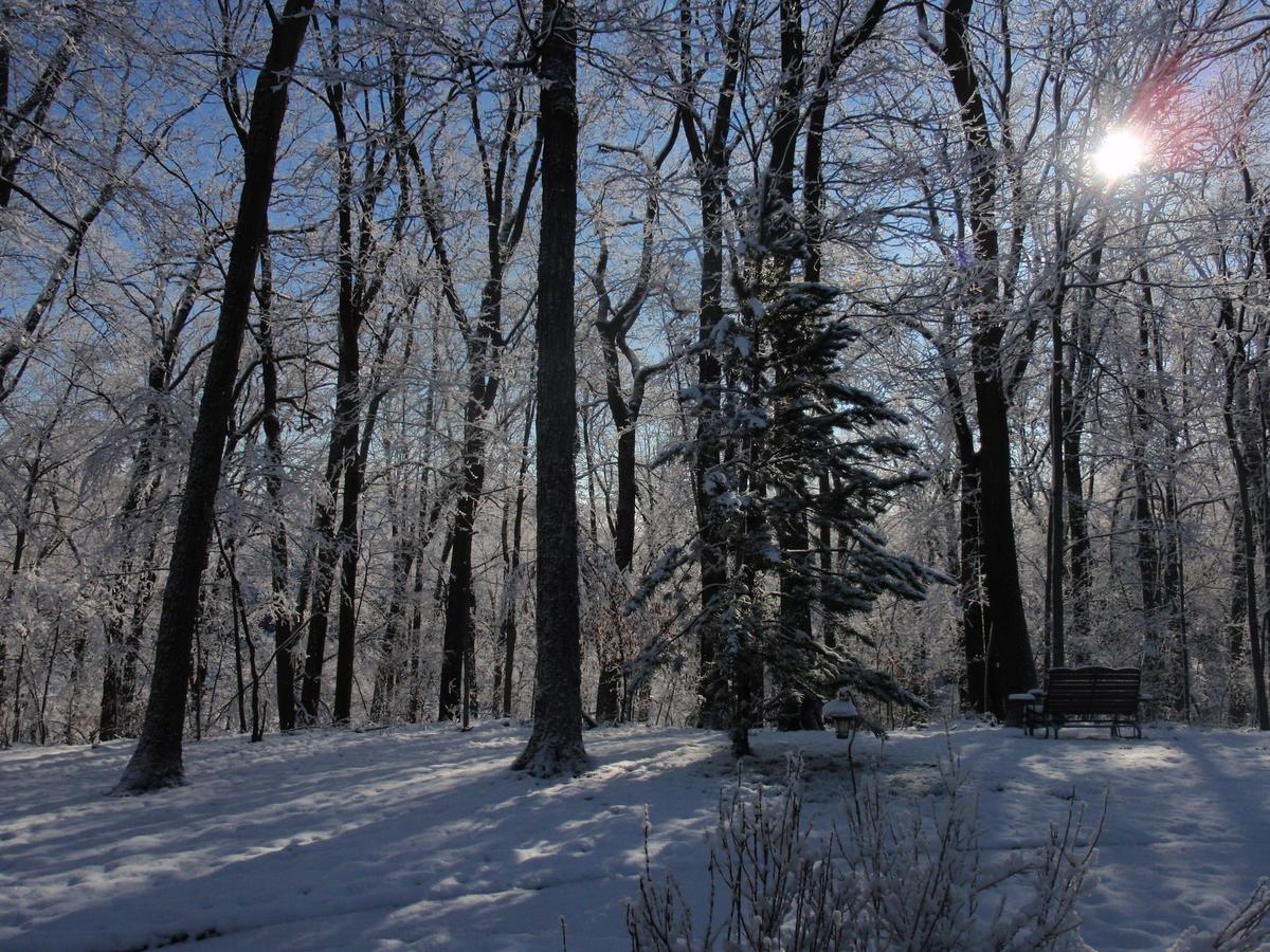 Hidden Serenity Bed And Breakfast West Bend Bagian luar foto